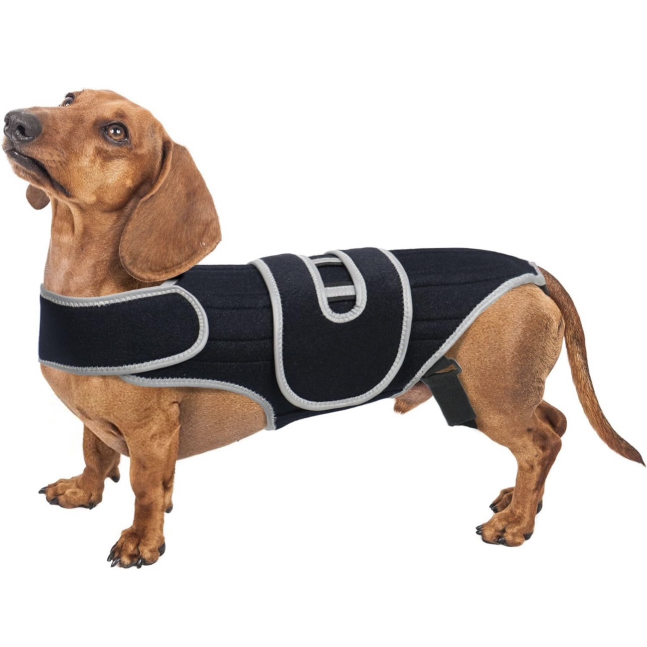 584851872 Pet Support Vest for Dogs with Intervertebral Disc Injury, Back Fracture Protection Belt, Large Dog Lumbar Support - Image 1